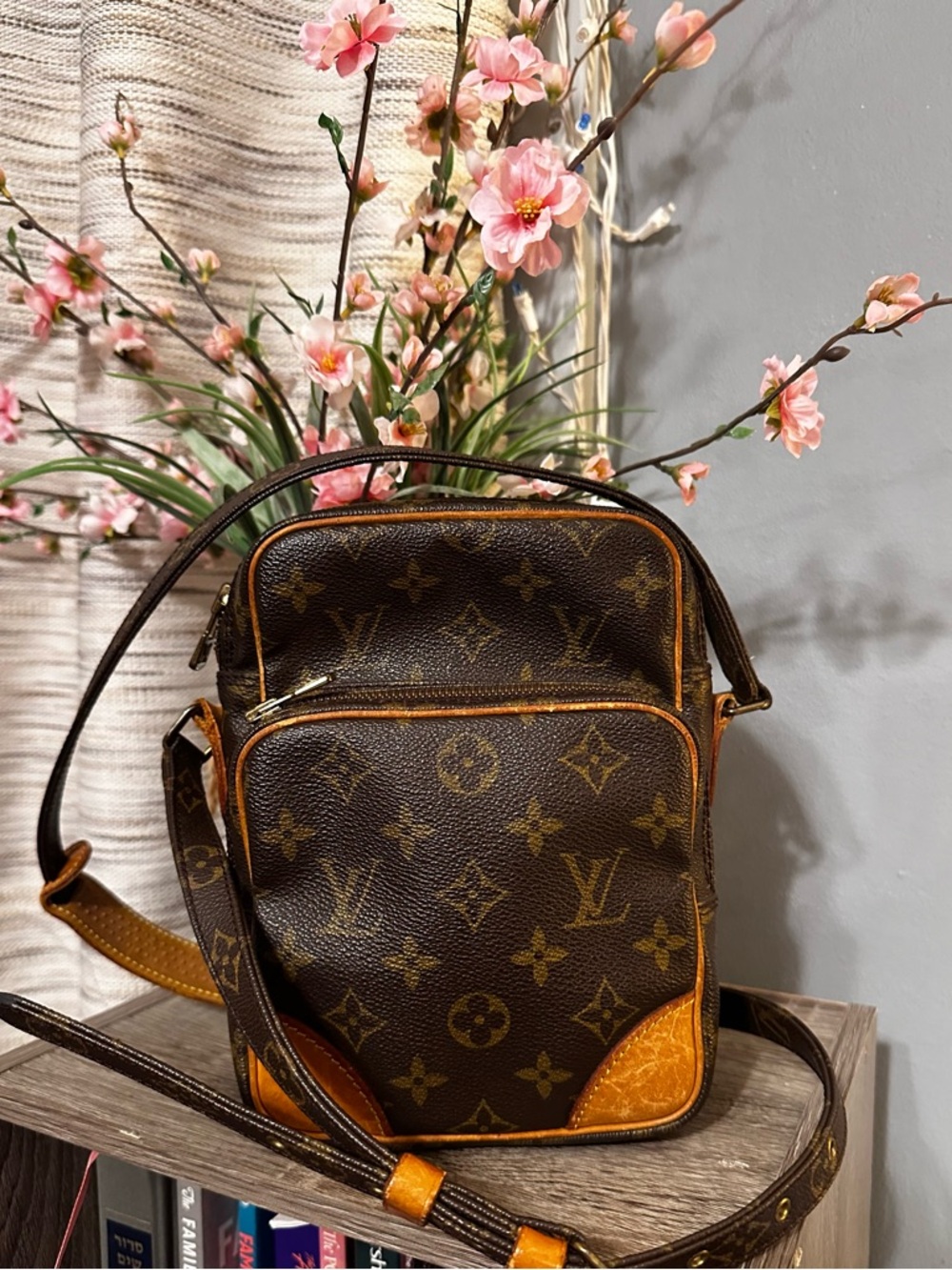 Louis Vuitton
Amazone Crossbody Bag - Picture 4 of 16